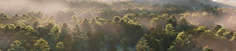 背景画像